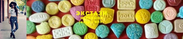 ECSTASY Инсар