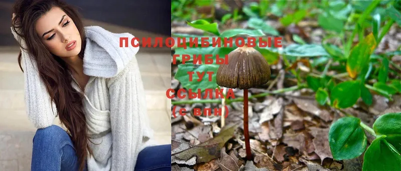 Галлюциногенные грибы MAGIC MUSHROOMS  Адыгейск 