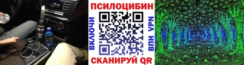 Псилоцибиновые грибы Cubensis  Адыгейск 
